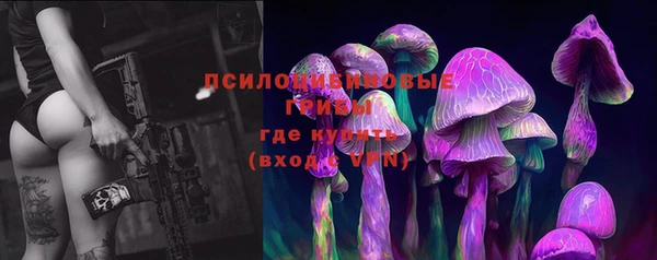 мескалин Покров