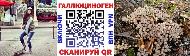 купить  цена  Сосногорск  Галлюциногенные грибы мицелий 